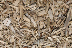 biomass boilers Fair Oak